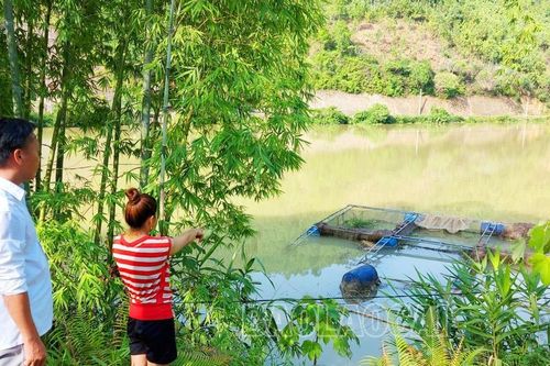 Khó khăn về vốn và 'đầu ra', nhiều hộ dân xã Thượng Hà bỏ nuôi cá lồng