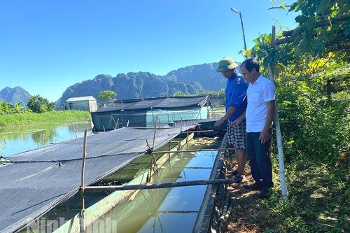 Lão nông làm giàu nhờ nuôi con đặc sản