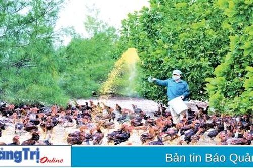Nỗ lực hỗ trợ nông dân
