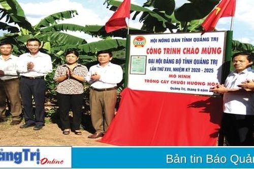 Hiệu quả công tác tuyên truyền, vận động của các cấp hội nông dân