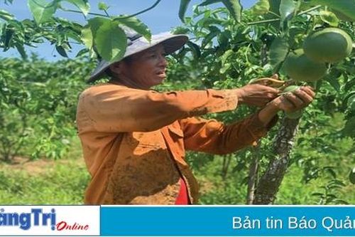 Đa dạng nguồn vốn hỗ trợ nông dân phát triển sản xuất