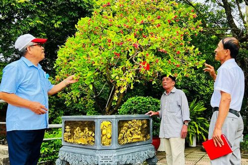 Hội Sinh vật cảnh: Phấn đấu tăng 8-10% doanh số