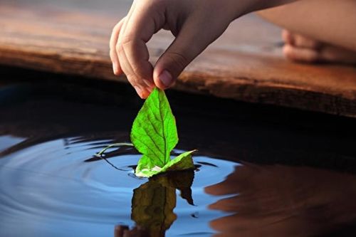 Buông bỏ để bình yên