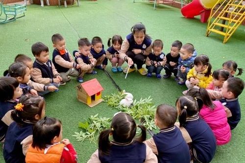 Phú Thọ: Hãy cảnh giác với chiêu trò 'cò' chạy biên chế giáo viên