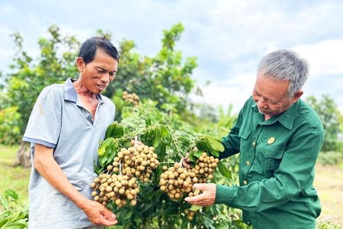 Gỡ vướng mắc để HTX thuận lợi trong liên kết hợp tác