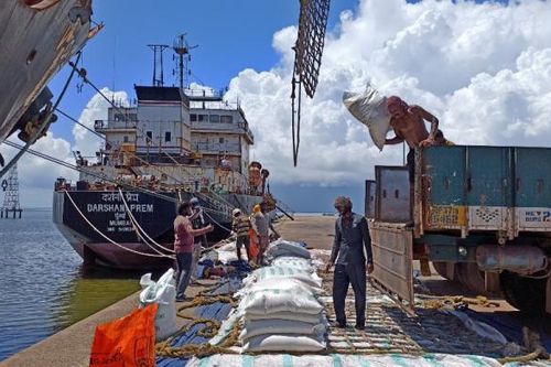 Lo ngại thiếu hụt sản lượng, Ấn Độ cấm xuất khẩu gạo