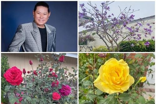 Ngây ngất biệt thự rực rỡ sắc hoa của tỷ phú Hoàng Kiều