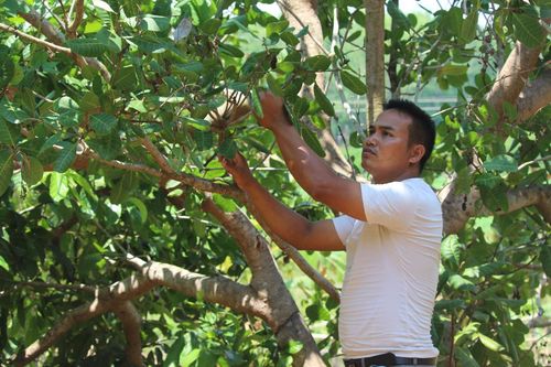 Bà con Rơ Măm thay đổi nếp nghĩ, cách làm