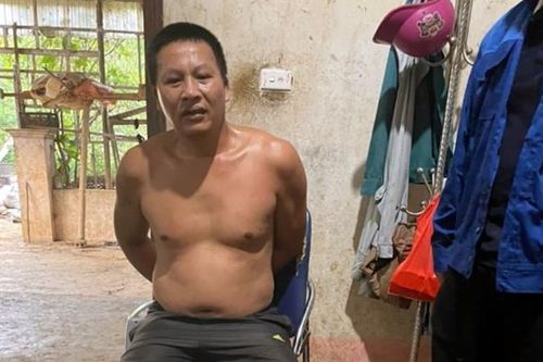 Lai Châu: Đánh sập 'pháo đài' ma túy được canh giữ bởi 28 con chó