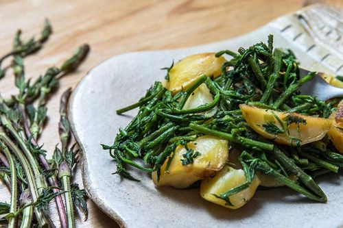 Chồi cây mọc hoang siêu đắt đỏ, giá hơn 23 triệu đồng/kg