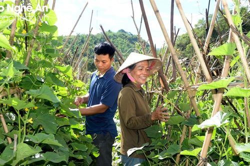 Sự hồi sinh trên vùng lũ quét Kỳ Sơn