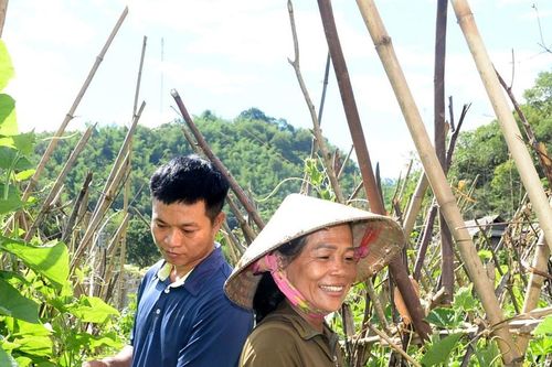 Xanh lại vùng đất tưởng chừng không thể hồi sinh