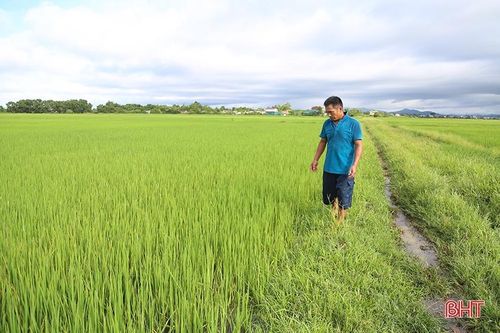 Ruộng đồng Hà Tĩnh được 'giải khát'