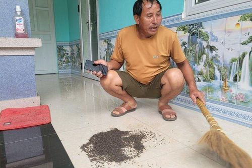 Vụ dân bị ruồi bủa vây: Công ty không cung cấp hồ sơ bảo vệ môi trường