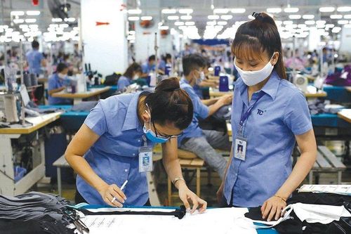 Lợi nhuận quý II/2023 của Dệt may Thành Công giảm 96% do đâu?