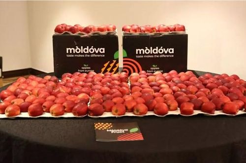 EU kéo dài và mở rộng chế độ ưu đãi thuế dành cho Moldova