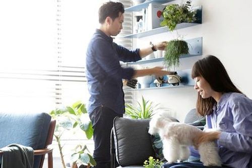 Căn hộ nhìn thì bình thường nhưng thiết kế rất hợp lý của đôi vợ chồng trẻ