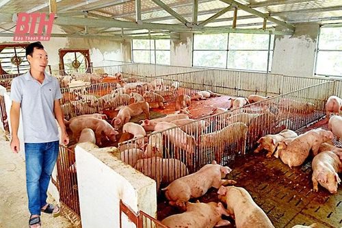 Ngọc Lặc đẩy mạnh phát triển kinh tế trang trại
