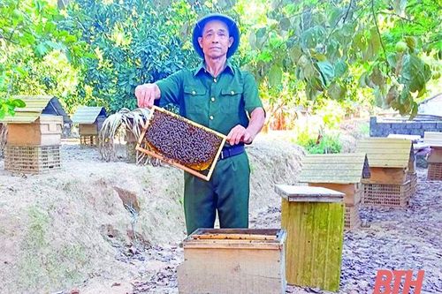 Cựu chiến binh Lê Đình Hảo làm giàu từ mô hình kinh tế tổng hợp