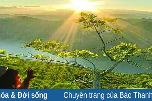 Những sớm mai yên bình