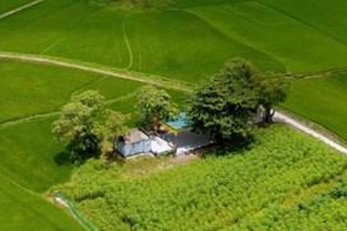 Miếu Linh Quang được xếp hạng di tích cấp tỉnh