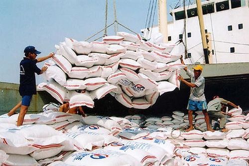 Yêu cầu doanh nghiệp cân đối xuất khẩu gạo, giữ bình ổn thị trường nội địa
