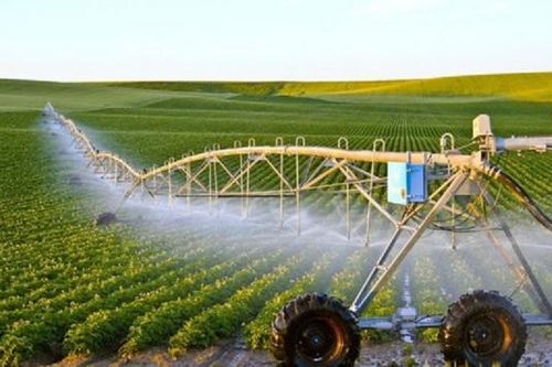 Khởi nghiệp đầu tư làm nông nghiệp thông minh: Con đường sáng nhưng nhiều thách thức