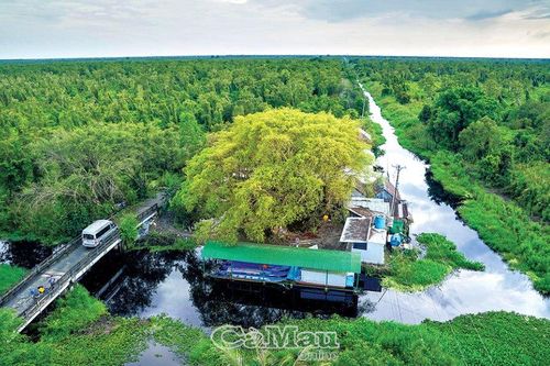 Vực dậy du lịch U Minh Hạ