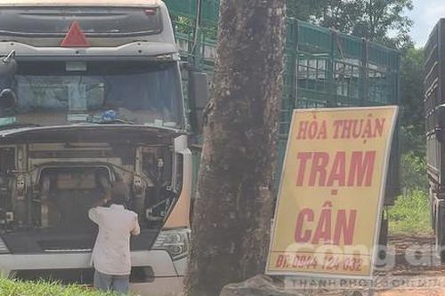 Quảng Trị: Nhức nhối những trạm thu mua gỗ trái phép