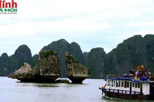 Chiêm ngưỡng tiên cảnh Vịnh Hạ Long - điểm du lịch hấp dẫn