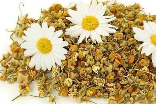 Món ăn bài thuốc hỗ trợ điều trị chóng mặt