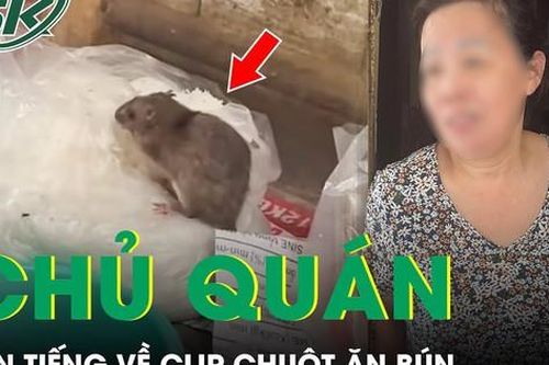 Chủ quán lên tiếng về clip 'Chuột ăn bún': Quán sạch sẽ, đây là việc không may