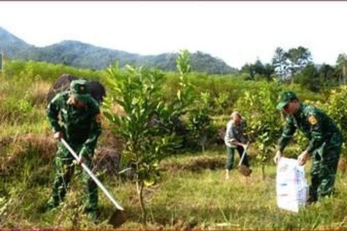 Bộ đội Biên phòng giúp dân nơi biên cương Đông Bắc - Bài 2: Sáng tạo giúp dân từ những mô hình