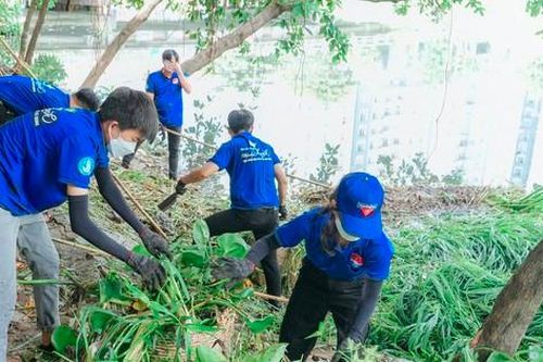 Thành Đoàn TP. HCM sôi nổi ra quân chương trình 'Chủ nhật Xanh' lần thứ 150