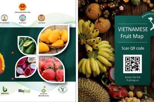 Bước khởi đầu của sức mạnh đoàn kết