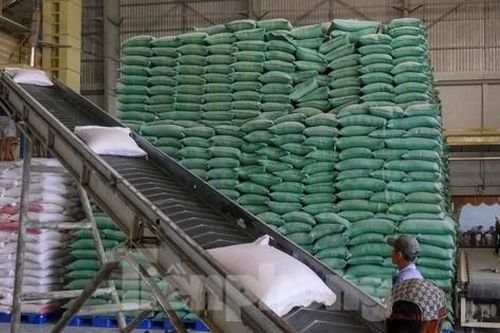 Ấn Độ cấm xuất khẩu gạo, doanh nghiệp Việt được khuyến cáo gì?
