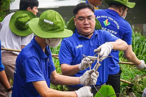 Hàng ngàn bạn trẻ chung tay làm 'xanh, sạch' môi trường