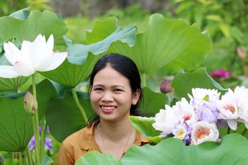 Nắng gió bỏng rát khiến đầm sen mênh mông xứ Nghệ đẹp mê hồn, không nơi nào có