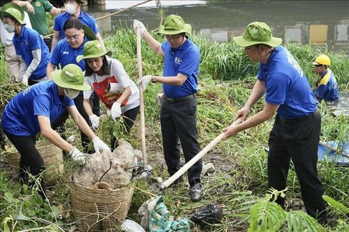 Phát huy sức trẻ vì môi trường xanh