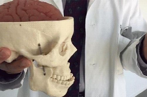 Khi não bị chấn động, cơ thể con người sẽ xảy ra chuyện gì?