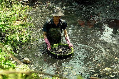 Vì một An Giang xanh