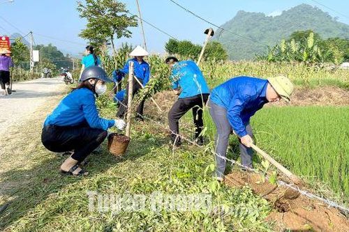 Ngày cao điểm chung tay xây dựng nông thôn mới