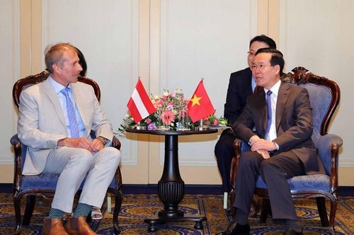 Thúc đẩy quan hệ hữu nghị truyền thống và hợp tác Việt Nam-Cộng hòa Áo bằng những công việc cụ thể