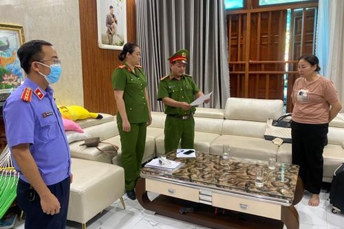 Bắt 'nữ quái' lừa cọc đấu giá đất chiếm 2 tỷ đồng