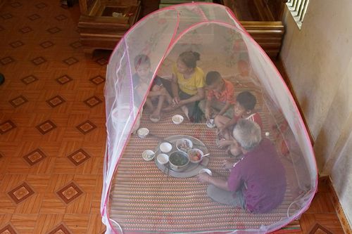 Ruồi phủ kín khắp nhà, người dân phải mắc màn ăn cơm