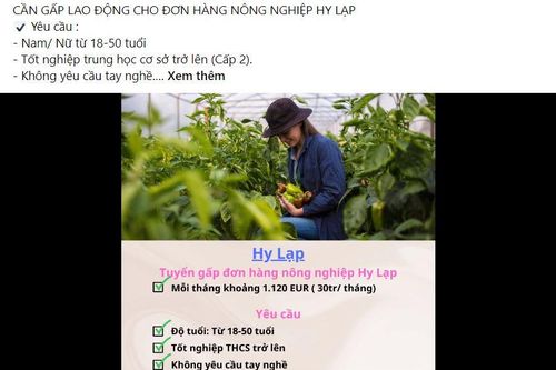 Cảnh báo lừa đảo trong tuyển dụng lao động sang làm việc tại Hy Lạp