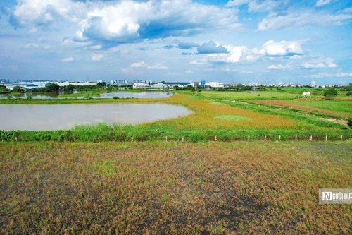Hà Nội: Khu đô thị vẫn 'nằm trên giấy', đất dự án hóa trạm trộn bê tông