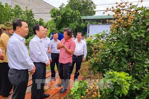 Những mô hình kinh tế hợp tác giúp nâng cao hiệu quả sản xuất nông nghiệp