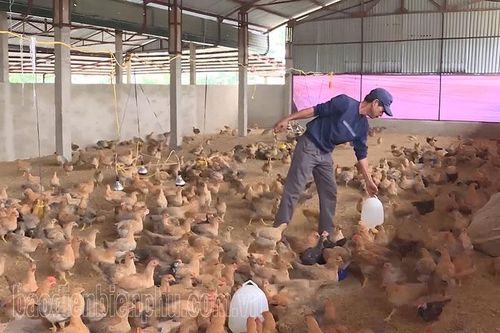 Ứng dụng khoa học công nghệ trong sản xuất nông nghiệp