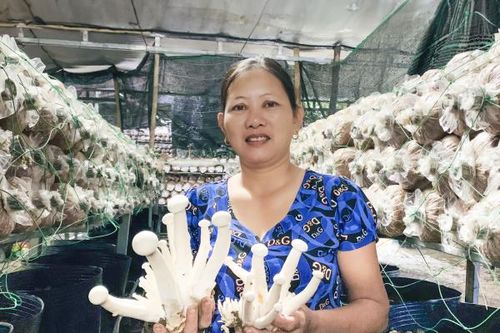 Nông dân Nha Trang: Tập trung nâng cao giá trị nông sản